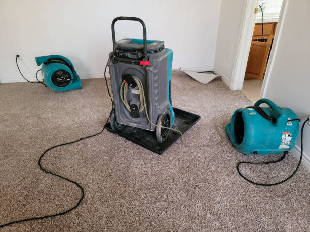 Best Water damage contractors near me  in Westlake, OH