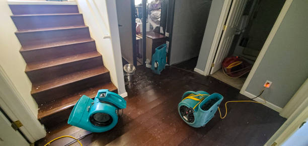 Best Flood damage cleanup  in Westlake, OH
