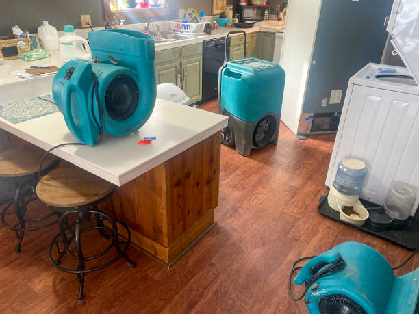 Best Professional water damage repair  in Westlake, OH