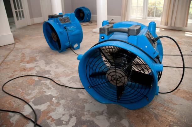 Best Water damage restoration process  in Westlake, OH