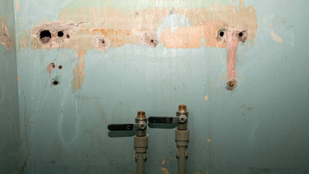 Best Basement water damage restoration  in Westlake, OH