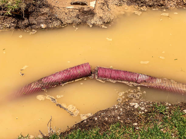 Best Flood restoration services  in Westlake, OH