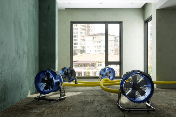 Best Fire Damage Restoration  in Westlake, OH