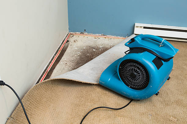  Westlake, OH Water damage restoration Pros